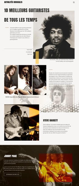 Maquette De Site Web Polyvalente Pour Les Meilleurs Guitaristes