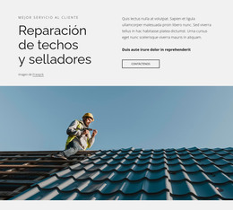 Reparación De Techos Y Selladores: Sitio Con Descarga De Plantilla HTML