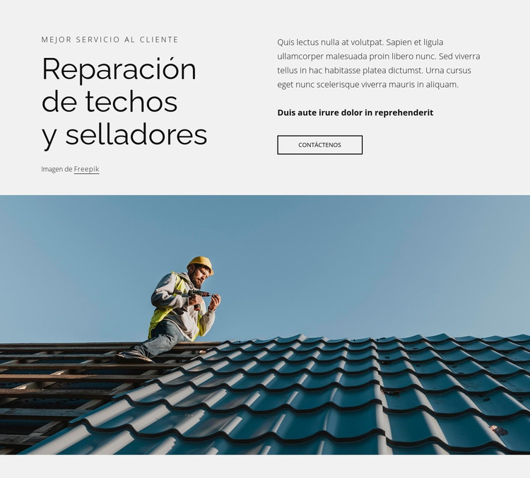 Reparación de techos y selladores Plantilla HTML