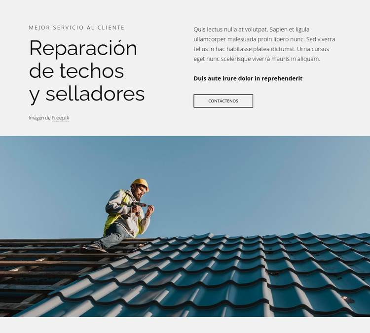 Reparación de techos y selladores Plantilla de sitio web