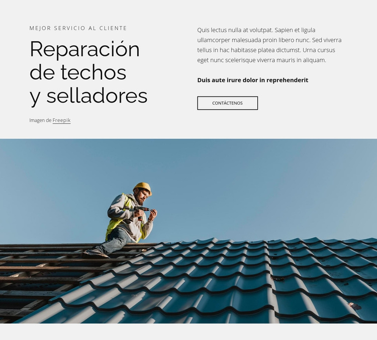 Reparación de techos y selladores Tema de WordPress