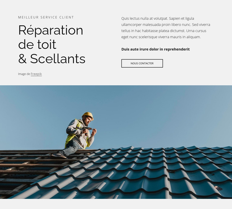Réparation de toiture et scellants Modèle de site Web