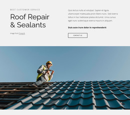 Roof Repair And Sealants - Site With HTML Template Download