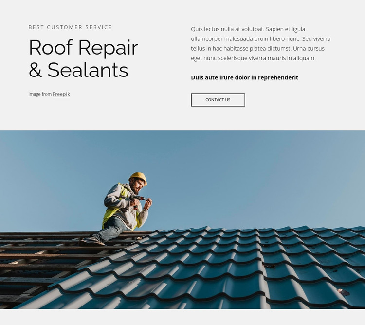 Roof repair and sealants HTML Template