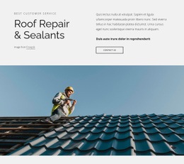 Tetőjavítás És Tömítések - Website Creator HTML