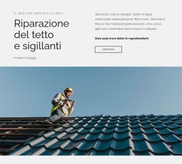 Riparazione Del Tetto E Sigillanti: Generatore Di Siti Web Facile Da Usare