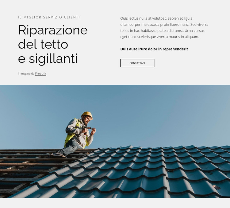 Riparazione del tetto e sigillanti Modello HTML