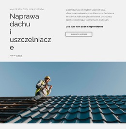 Naprawa Dachów I Uszczelniacze - Website Creator HTML