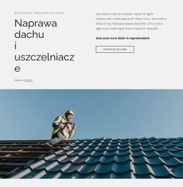 Naprawa Dachów I Uszczelniacze - Nowoczesny Motyw WordPress