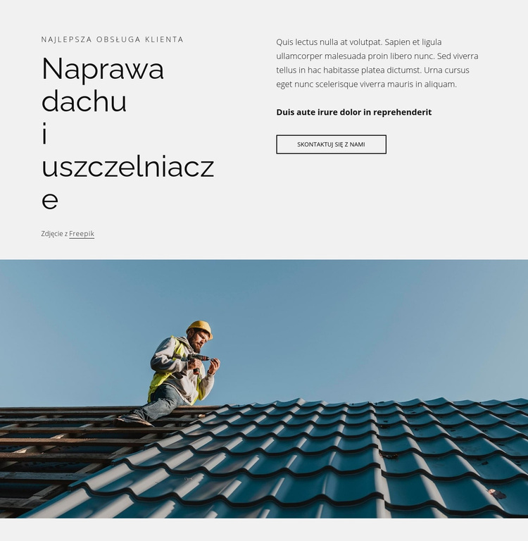 Naprawa dachów i uszczelniacze Motyw WordPress