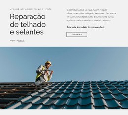 Design De Site Incrível Para Reparação De Telhados E Vedantes