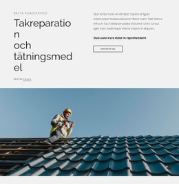 Takreparation Och Tätningsmedel Webbplatsmall