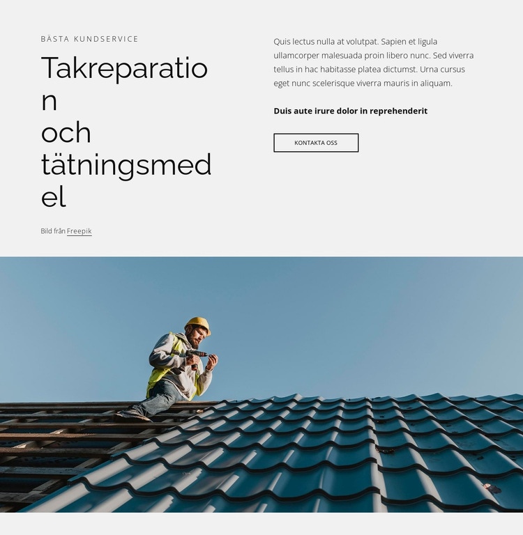 Takreparation och tätningsmedel Mall