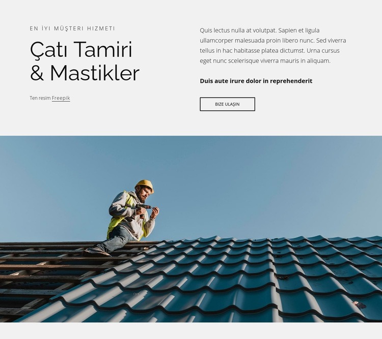 Çatı tamiri ve sızdırmazlık ürünleri HTML5 Şablonu