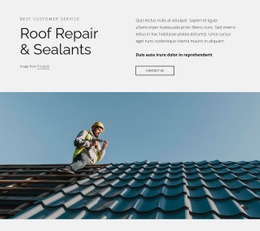 Roof Repair And Sealants - Customizable Professional Web Page Design