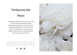 Les Pivoines Sont À La Mode