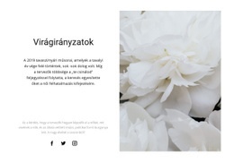 Reszponzív Websablon A Következőhöz: A Bazsarózsa Divatos