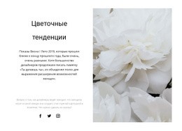 Пионы В Моде — Окончательный Одностраничный Шаблон