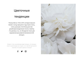 Пионы В Моде – Загрузка Шаблона Веб-Сайта