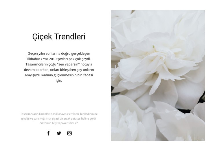 Şakayık moda CSS Şablonu