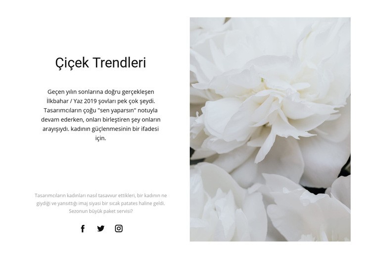 Şakayık moda Web sitesi tasarımı