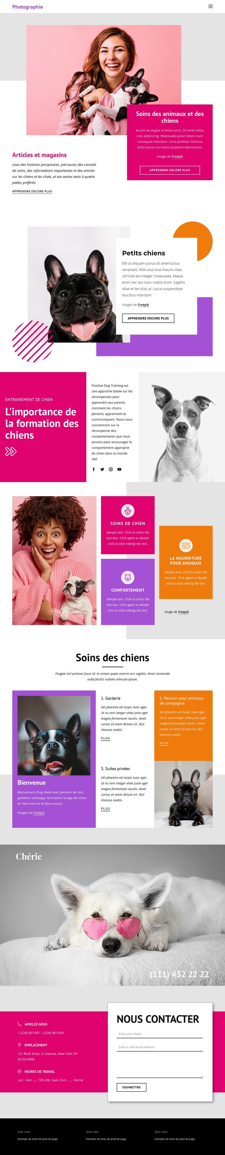 Histoires d'animaux Conception de site Web