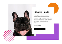 Ziemlich Kleine Hunde - HTML- Und CSS-Vorlage