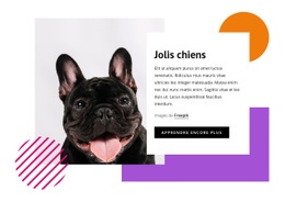 Créateur De Sites Web Polyvalents Pour Jolis Petits Chiens