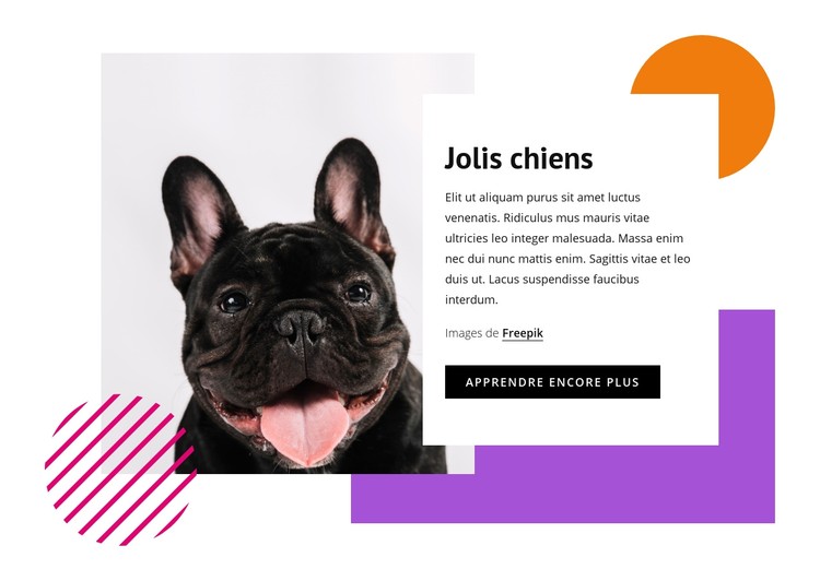 Jolis petits chiens Modèle CSS