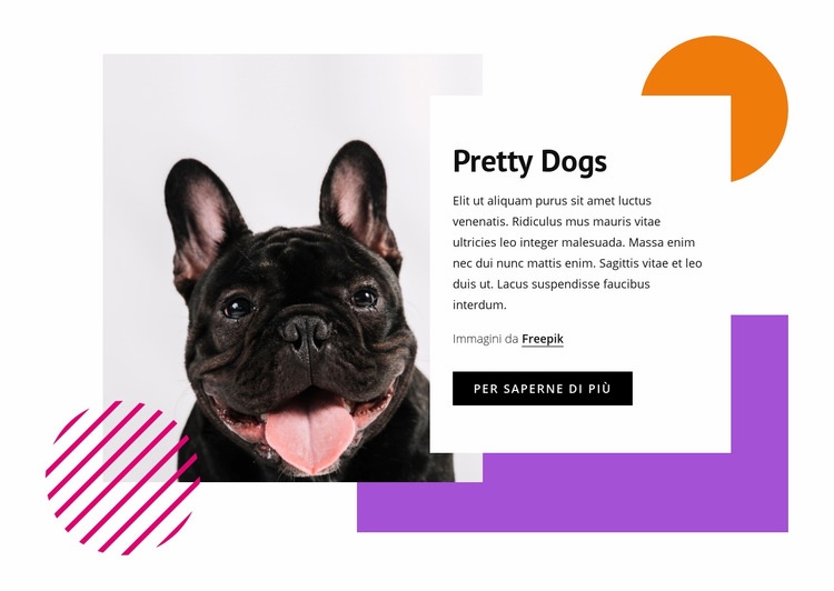Cani piuttosto piccoli Costruttore di siti web HTML