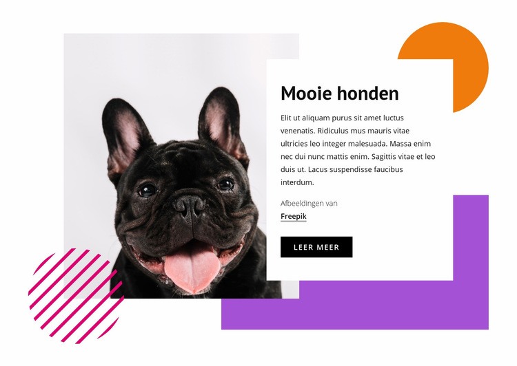 Vrij kleine honden HTML5-sjabloon