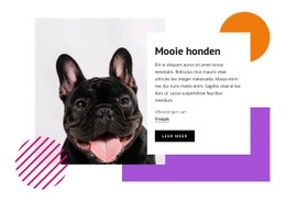Vrij Kleine Honden - Websitesjablonen