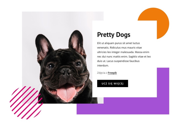Dość małe psy Makieta strony internetowej