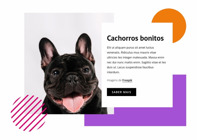 Cachorros bonitos Construtor de sites HTML