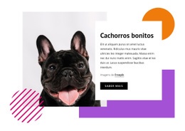 Cachorros Bonitos - Página De Destino Gratuita, Modelo HTML5