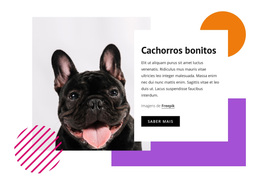 Tema WordPress Multifuncional Para Cachorros Bonitos