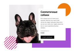 Довольно Маленькие Собаки — Идеальный Дизайн Веб-Сайта