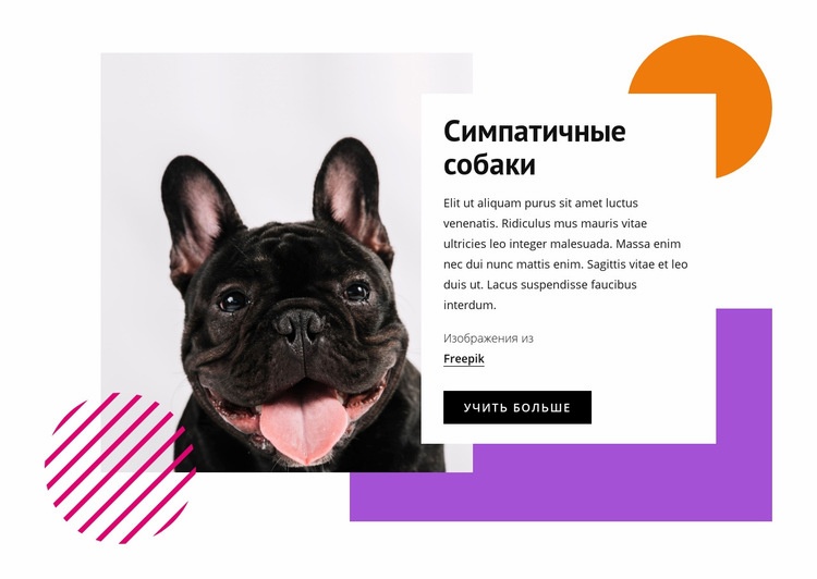 Довольно маленькие собаки HTML5 шаблон