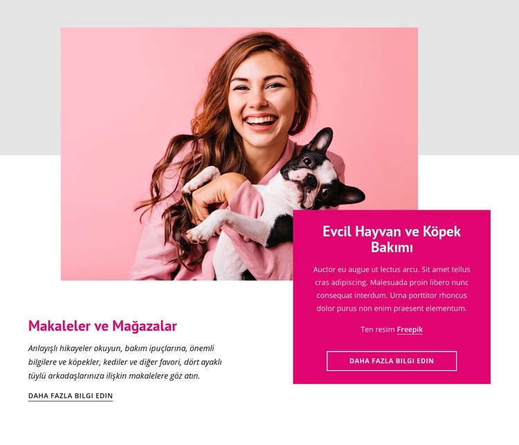 Köpekler hakkında şaşırtıcı gerçekler CSS Şablonu