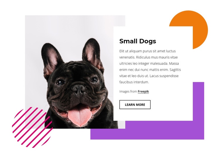 Pretty small dogs Web Page Design
