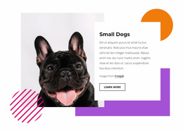 Pretty Small Dogs - Modern Website Mockup