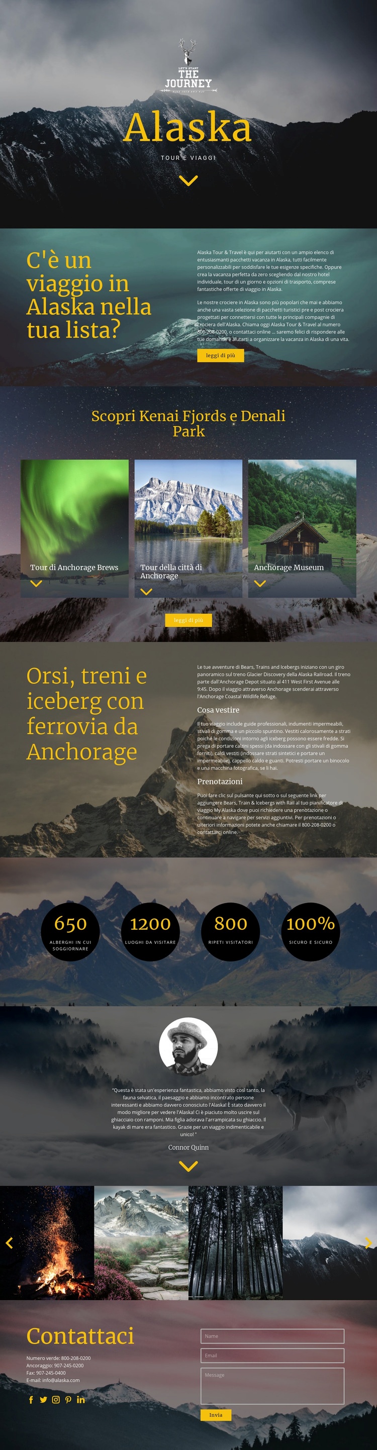 Viaggio in Alaska Mockup del sito web