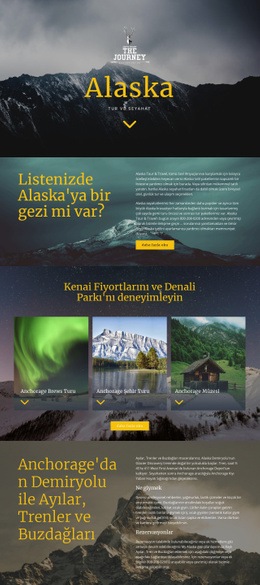 Alaska Seyahati - Üstün Web Sitesi Tasarımı
