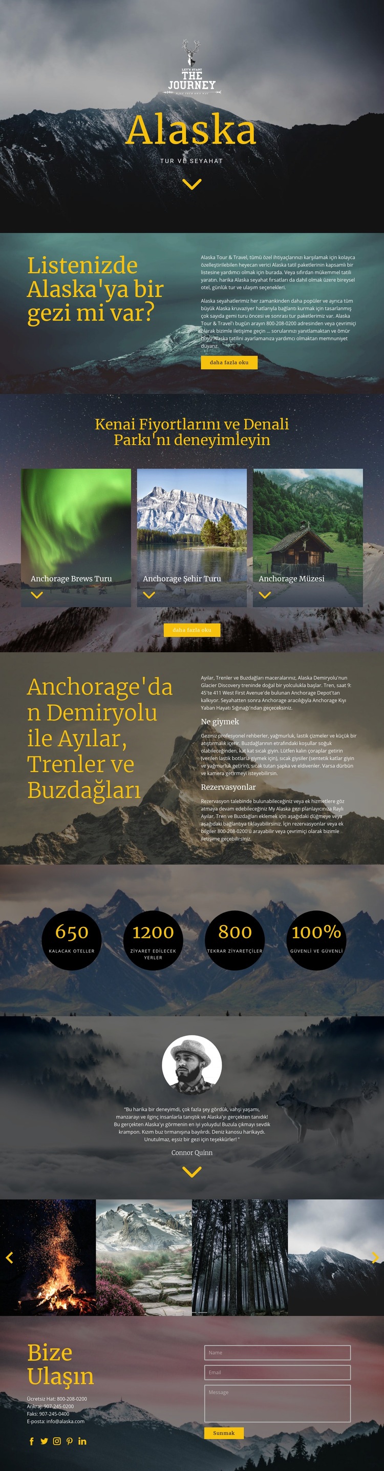 Alaska Seyahati Web sitesi tasarımı