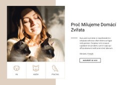 Téma WordPress Proč Milujeme Domácí Zvířata Pro Jakékoli Zařízení