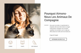 Pourquoi Aimons-Nous Les Animaux De Compagnie - Modèle Joomla Premium