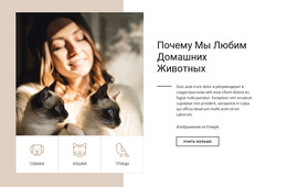 Почему Мы Любим Домашних Животных – Одностраничный Шаблон