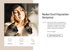 Neden Evcil Hayvanları Seviyoruz - Bir Sayfalık Şablon