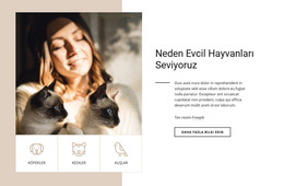 Neden Evcil Hayvanları Seviyoruz Için Css Şablonu