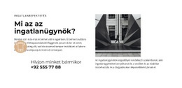 Házfestési Alapok – Egyszerű WordPress Téma